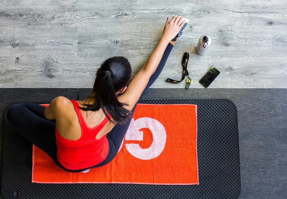 Go Fit achieved growth and higher sales in 2023