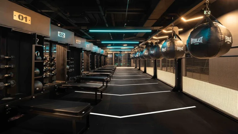 Everlast Gyms