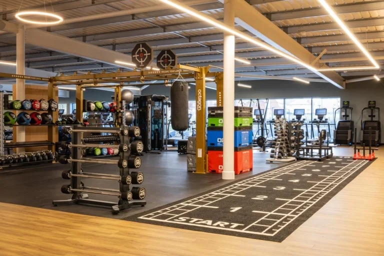 David Lloyd Leisure