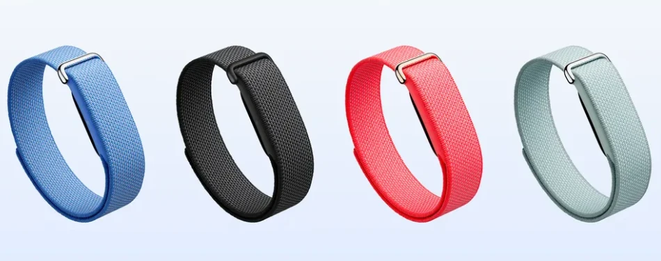 FitBit Fitbit Air in India
